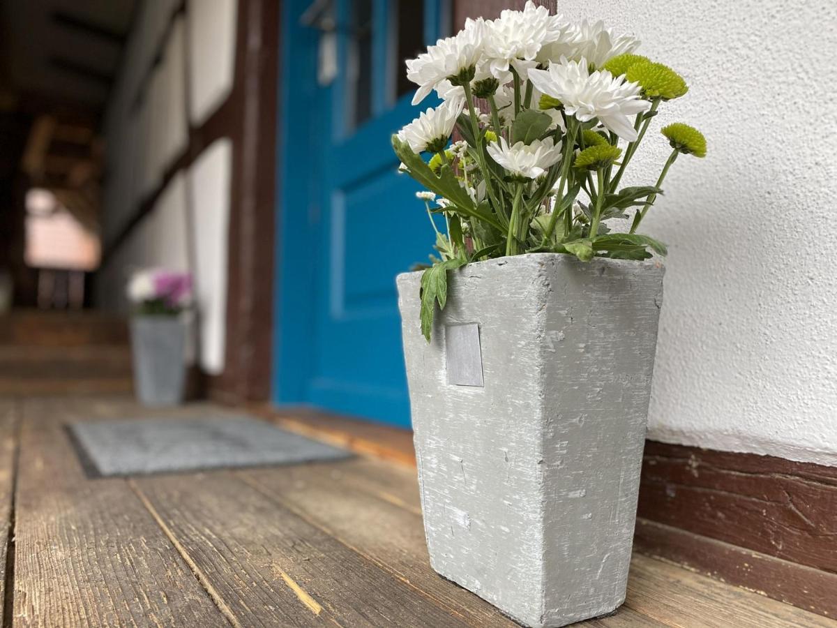 Appartement Traumhaft Wohnen Im Haus Blum